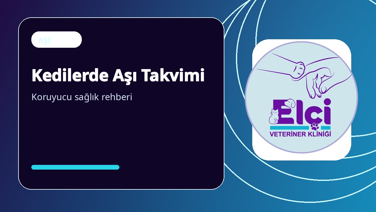 Kedilerde Aşı Takvimi: Yavru ve Yetişkin Kediler İçin Rehber