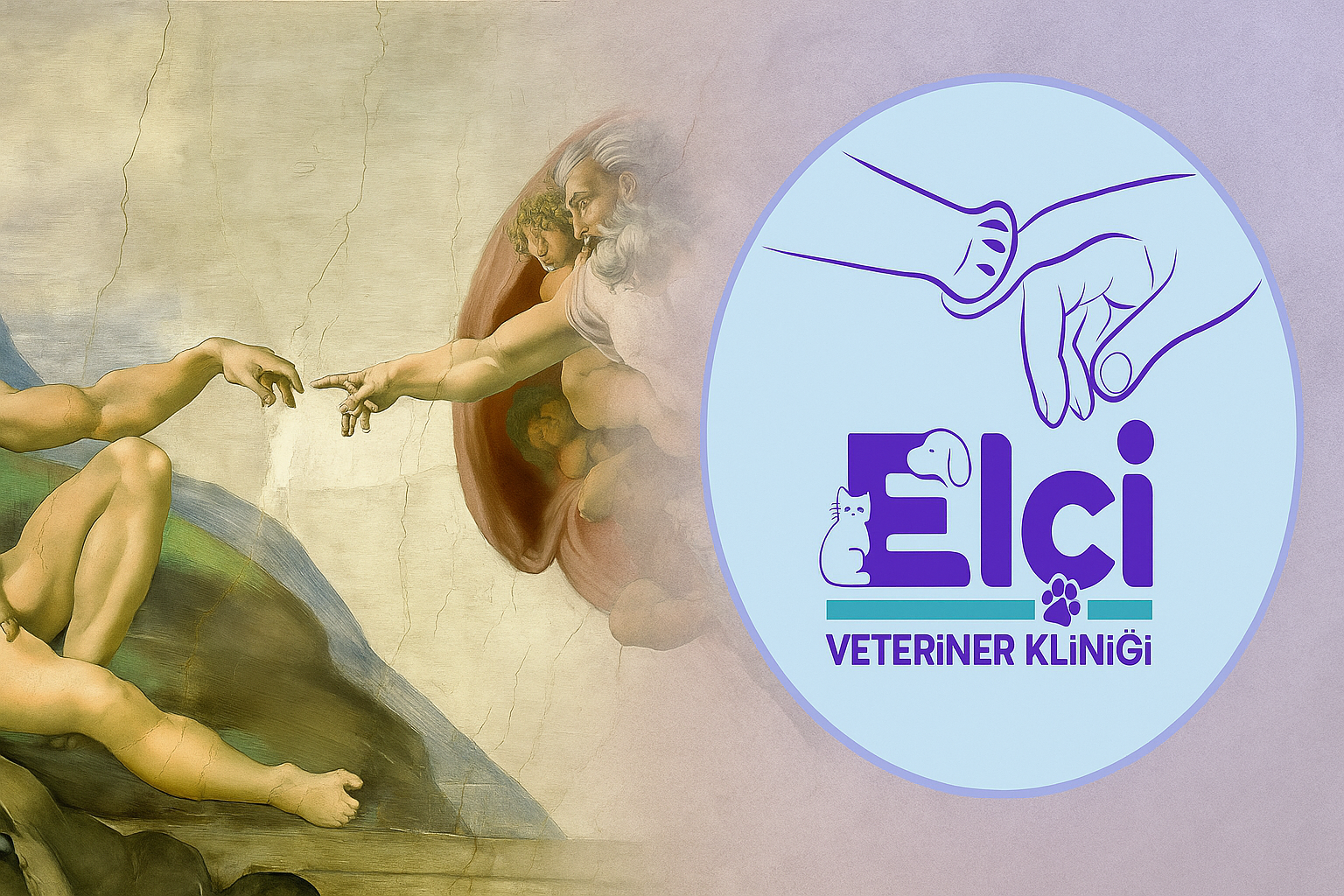 Elçi Veteriner Kliniği için hazırlanan konsept görsel