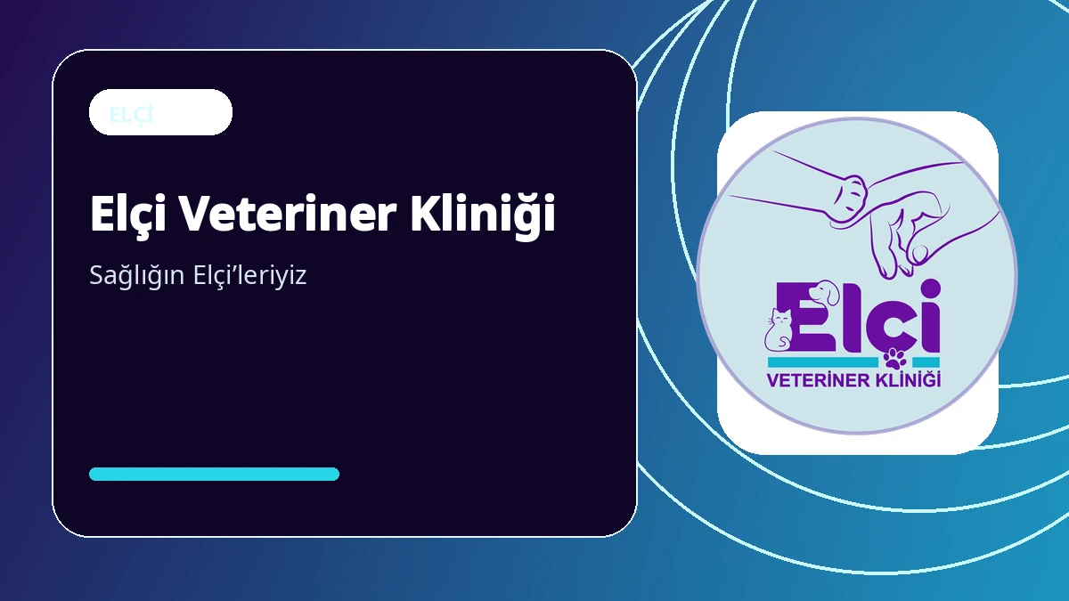 Elçi Veteriner Kliniği Web Sitesi: Hizmetler, Randevu ve Bilgilendirme