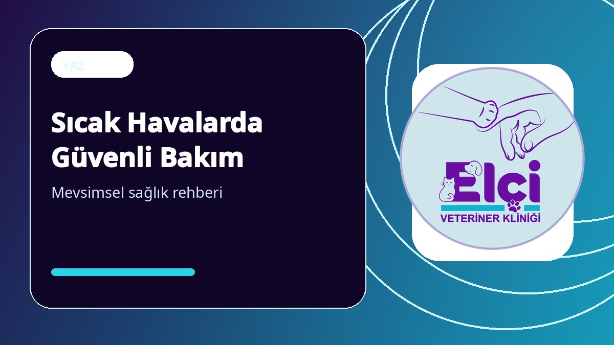 Kedi ve Köpeklerde Sıcak Çarpması: Korunma ve Uyarı İşaretleri